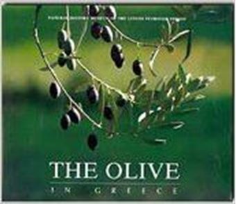 The Olive In Greece