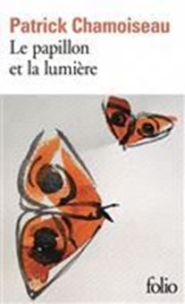 Picture of Le papillon et la lumière