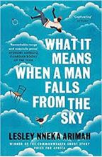 Image de What It Means When A Man Falls From The Sky