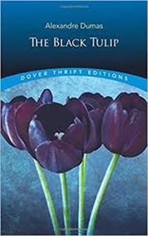 Picture of The Black Tulip