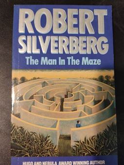 Picture of The Man in the Maze