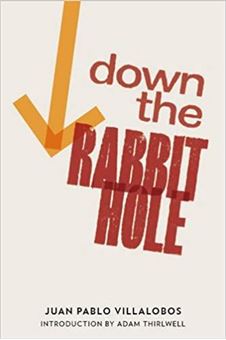 Picture of Down the Rabbit Hole