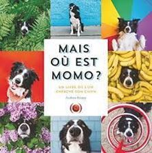 Picture of Mais où est Momo ? - Un livre où l'on cherche son chien