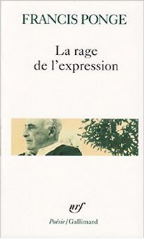 La rage de l'expression