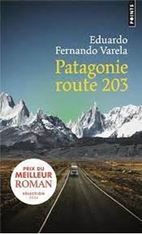 Picture of Patagonie route 203