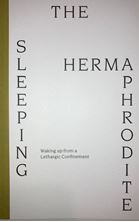 Image de The Sleeping Hermaphrodite