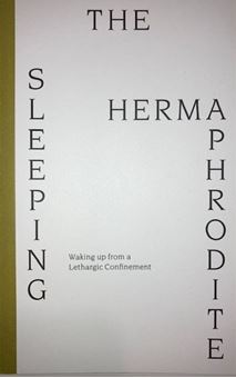 Picture of The Sleeping Hermaphrodite