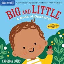 Picture of Indestructibles: Big and Little: A Book of Opposites