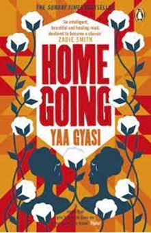 Image sur Homegoing