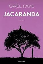 Εικόνα της Jacaranda