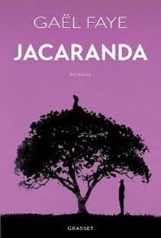 Image sur Jacaranda